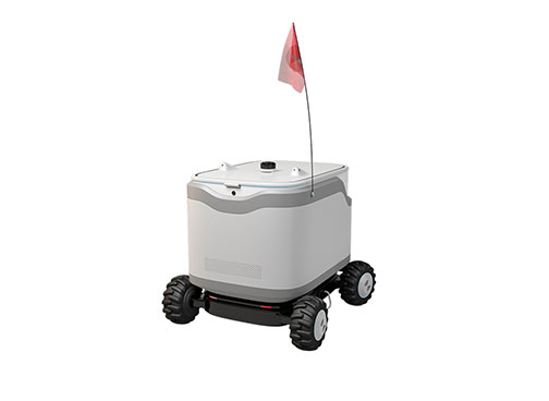 Last Mile Delivery Robot