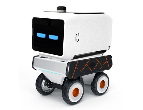 last-mile-delivery-robot.png