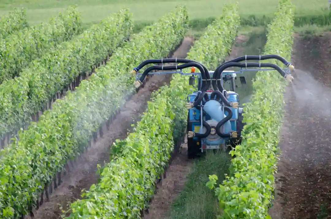 Fdata-robot-spraying-grapevines-vineyard-france_(1).webp